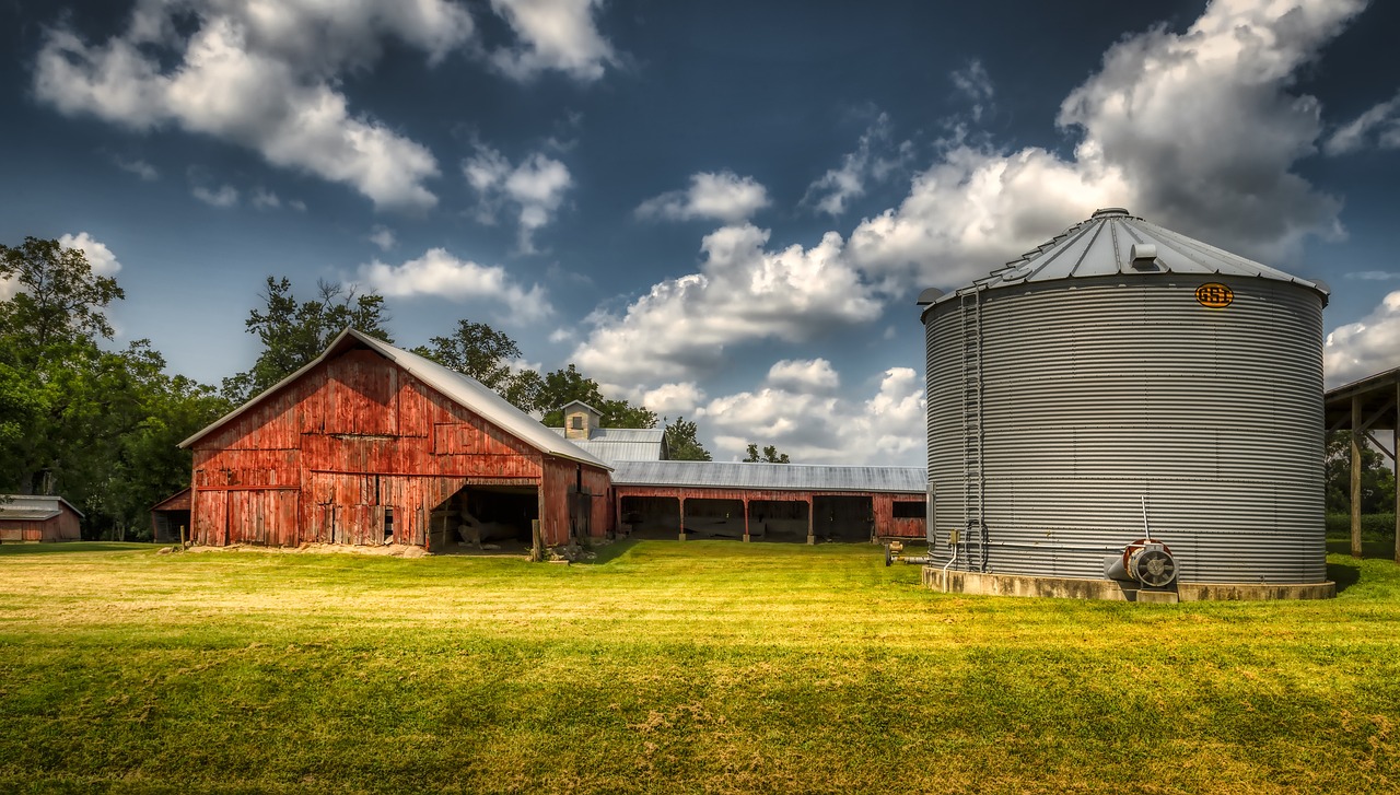 How to Optimize Your Home’s Storage with Stackable Bins